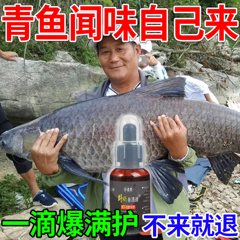 買1送2 ！！ 釣魚之神推薦KT-8激導醇釣魚液 1滴誘魂/3滴爆護   讓你✅快速聚魚✅久釣不散