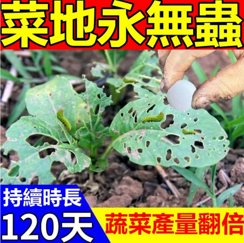 植物園藝除蟲好幫手，家庭綠植必備