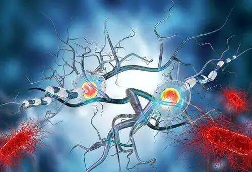 1688040508419714.png da6ca96242aa7b3989c076c84ab0f83.png