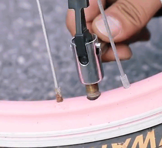 1727733158576339.gif 14.gif