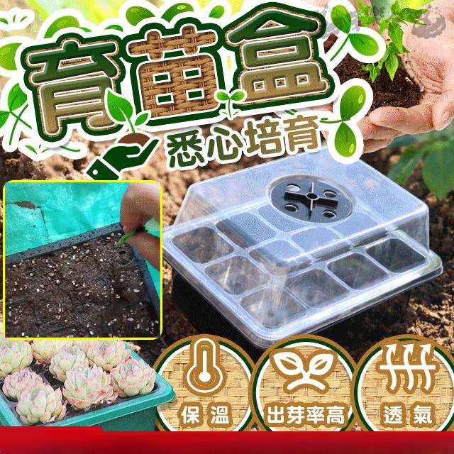 多功能育苗盤透氣育苗種植園藝 多功能育苗盤透氣育苗種植園藝