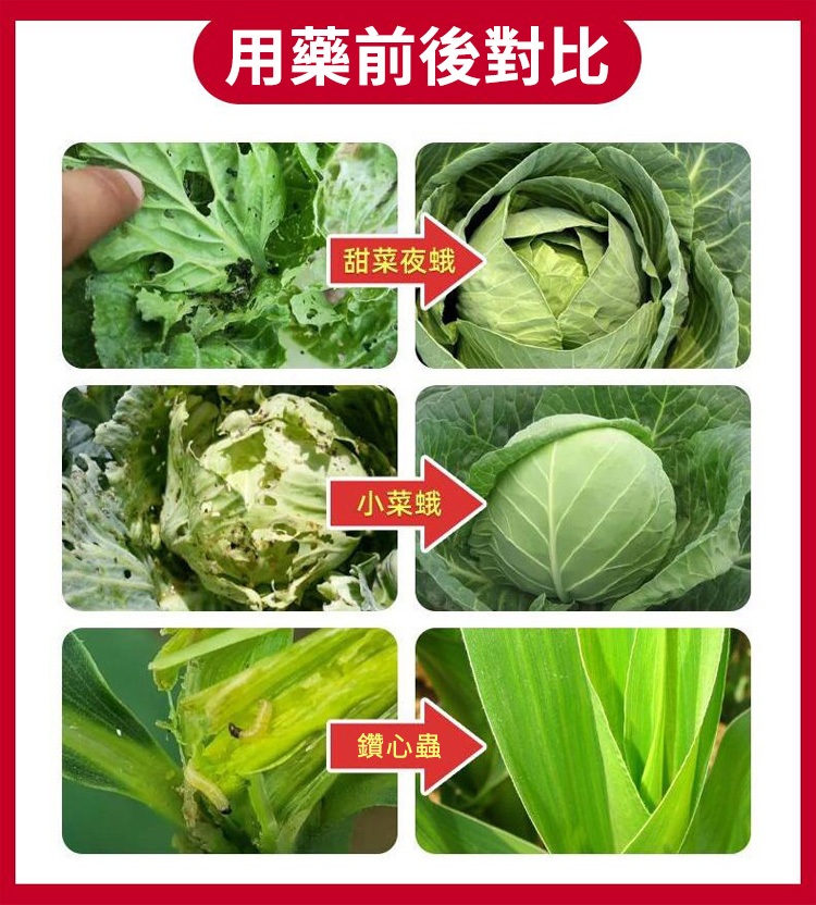 1733293262106058.jpg 2f734166698f01f622d5863a6598fbfe.jpg