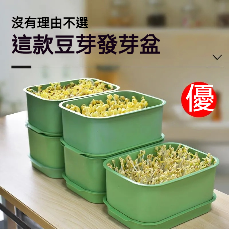 家用黃綠豆發芽專用神器